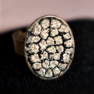 Anillo tradicional